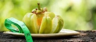 Exploring the Benefits and Risks of Garcinia Cambogia