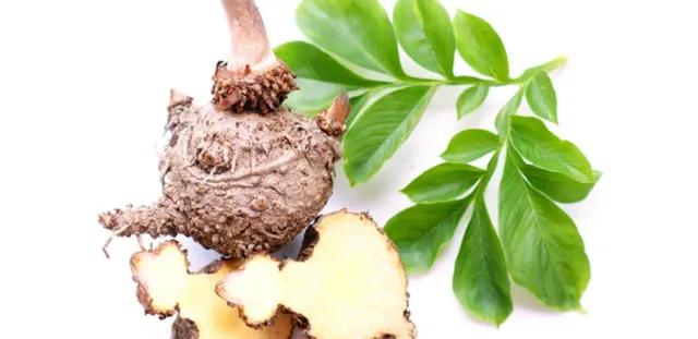 The Benefits and Uses of Glucomannan